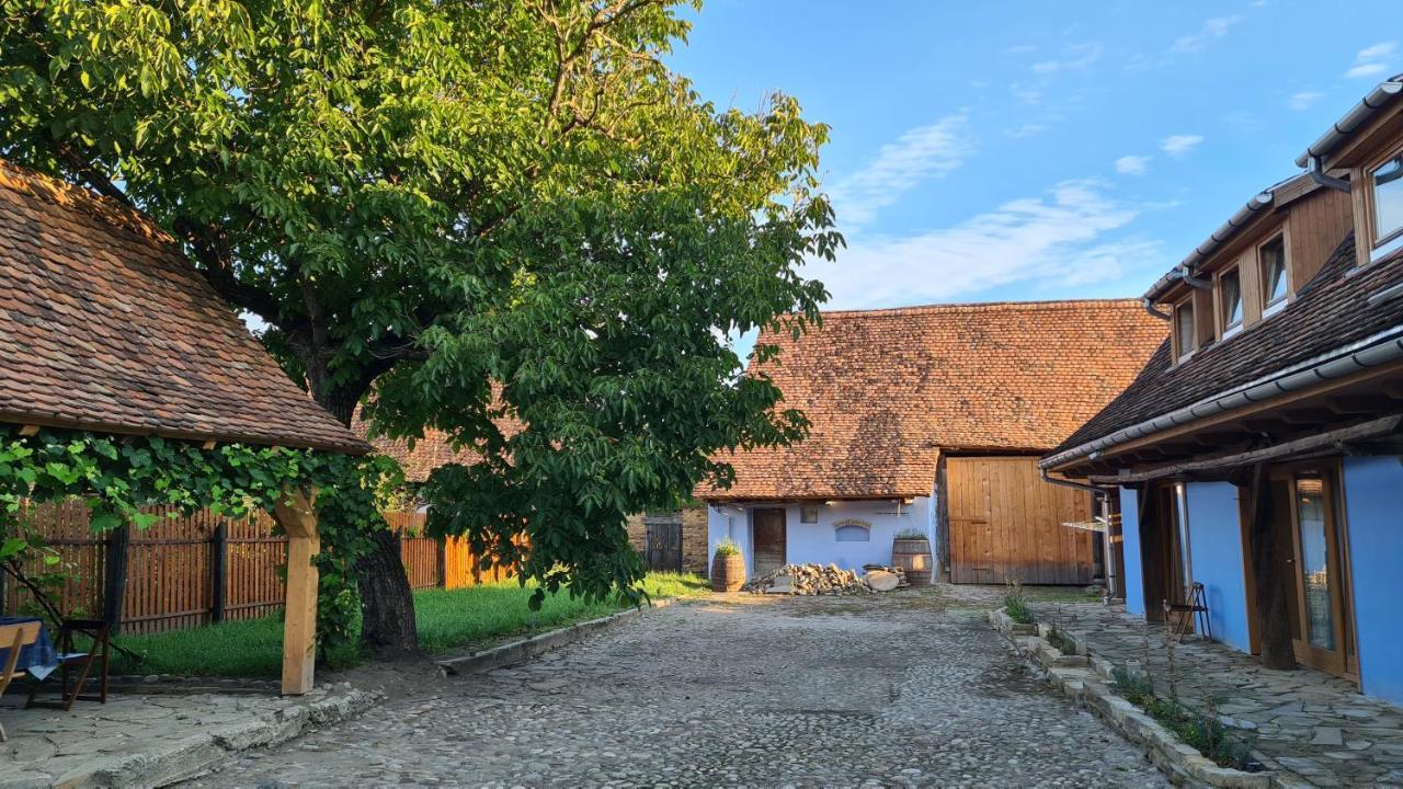 Bunesti  Haus Rether - Transylvanian Guesthouse מראה חיצוני תמונה