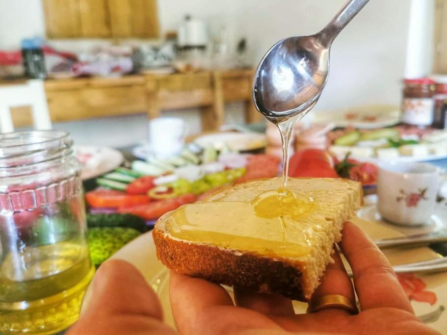 Bunesti  Haus Rether - Transylvanian Guesthouse מראה חיצוני תמונה